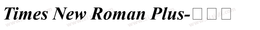 Times New Roman Plus字体转换